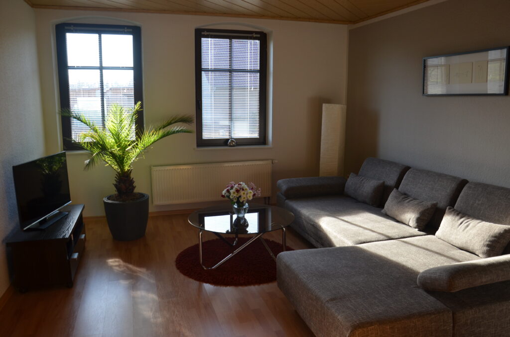 Wohnzimmer der Ferienwohnung Cottbus mit Sofa und Fernseher